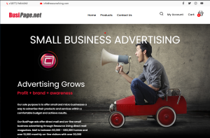 Sky mountain Web development services